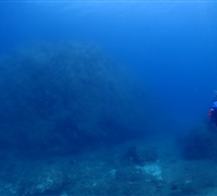 P9230201.JPG
