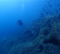 P9220114.jpg