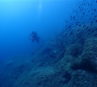 P9220115.jpg