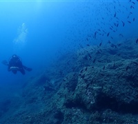 P9220116.jpg