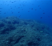 P9220118.jpg