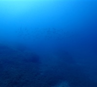P9220119.jpg