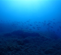 P9220121.jpg