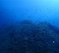 P9220123.jpg