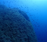 P9220124.jpg