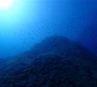P9220125.jpg