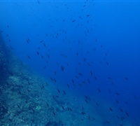 P9220127.jpg