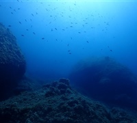 P9220131.jpg