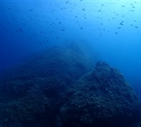P9220132.jpg