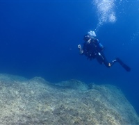 P9220134.jpg
