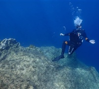 P9220136.jpg
