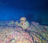 GOPR1675.jpg