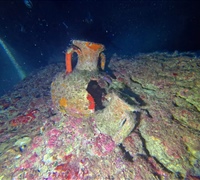 GOPR1679.jpg