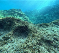 GOPR1707.jpg