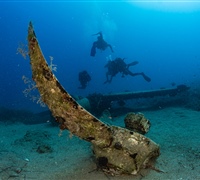 2N1A5244.jpg