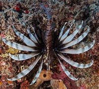 2N1A5260_.jpg