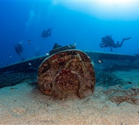 2N1A5263.jpg