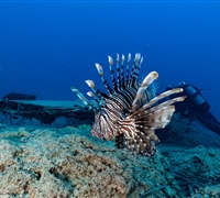 2N1A5278.jpg