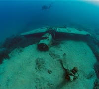 2N1A5520.jpg