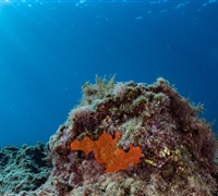 2N1A6177.jpg