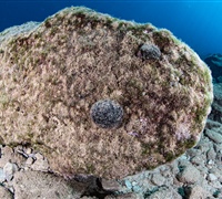 IMG_7663.jpg