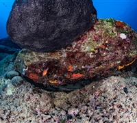2N1A6683.jpg