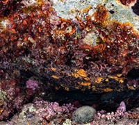 2N1A6692.jpg