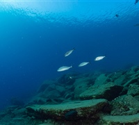 2N1A6695.jpg