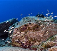 2N1A6719.jpg