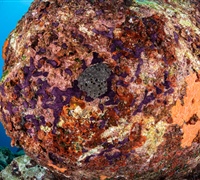 2N1A6725.jpg