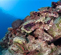 2N1A6748.jpg