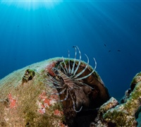 2N1A6825.jpg