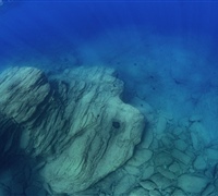 2N1A5544.jpg