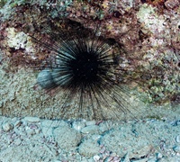 2N1A5557.jpg