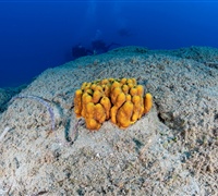 2N1A5592.jpg
