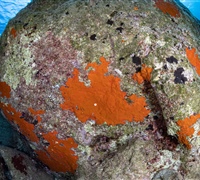 2N1A5614.jpg