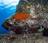 2N1A5620.jpg