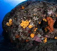 2N1A5111.jpg