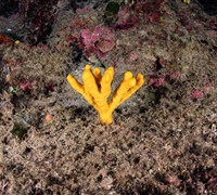 2N1A5115.jpg