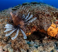 2N1A5126.jpg