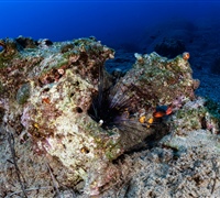 2N1A5137.jpg