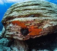 2N1A5200.jpg