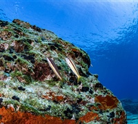 2N1A5208.jpg