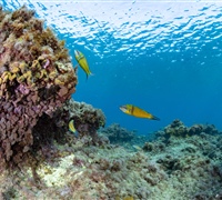 2N1A5814.jpg