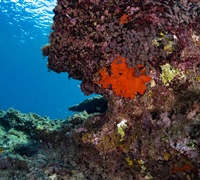 2N1A5817.jpg