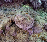 2N1A5823.jpg