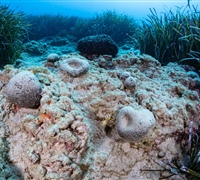 2N1A5930.jpg