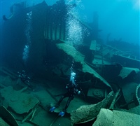 2N1A829872745.jpg