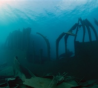 2N1A845384854.jpg