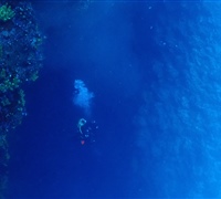 P9210055.jpg